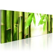 Obraz - Bamboo gate Artgeist