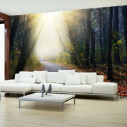 Fototapeta - Droga przez las Artgeist