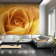 Fototapeta - Żółta róża - symbol przyjaźni Artgeist