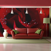 Fototapeta - Czerwona róża i krople rosy Artgeist