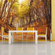Fototapeta - Las w barwach jesieni Artgeist