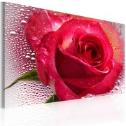 Obraz - Lady Rose Artgeist