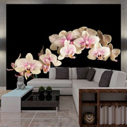 Fototapeta - Kwitnąca orchidea Artgeist