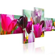 Obraz - Czar różowych tulipanów Artgeist