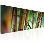 Obraz - Wild bamboos Artgeist