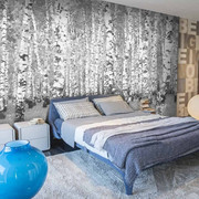 Fototapeta - Brzozowe zacisze Artgeist