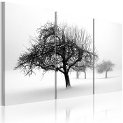 Obraz - Drzewa zanurzone w bieli Artgeist