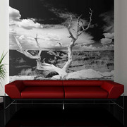 Fototapeta - Drzewo na tle Wielkiego Kanionu Artgeist