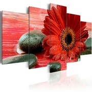 Obraz - Gerbera i kamienie Zen Artgeist