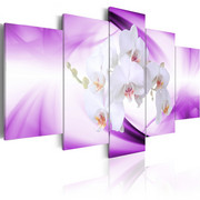 Obraz - Cudowna roślina - orchidea Artgeist
