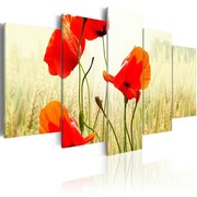 Obraz - Natura i czerwień maków Artgeist