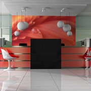 Fototapeta - Red gerbera Artgeist