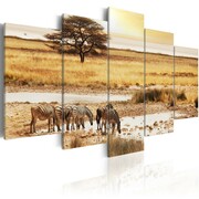 Obraz - Zebry na sawannie Artgeist
