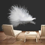 Fototapeta - White feather Artgeist
