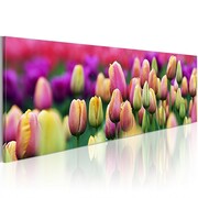 Obraz - Tęczowe tulipany Artgeist