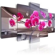 Obraz - Orchidea na stonowanym tle Artgeist