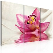 Obraz - Unusual orchid - triptych Artgeist