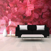 Fototapeta - Red azalea Artgeist
