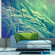 Fototapeta - Cereal field Artgeist
