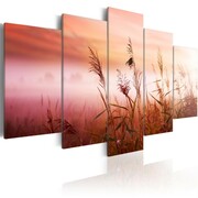 Obraz - Łąka witająca nowy dzień Artgeist