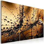 Obraz - Dmuchawce i rosa Artgeist