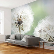 Fototapeta - Dwa dmuchawce Artgeist