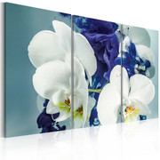 Obraz - Chimeryczne orchidee Artgeist