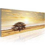 Obraz - Lonely tree on savannah Artgeist
