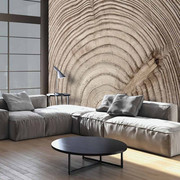 Fototapeta - Słój drewna Artgeist
