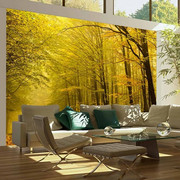 Fototapeta - Droga przez jesienny las Artgeist