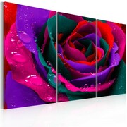 Obraz - Tęczowa róża Artgeist