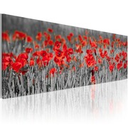 Obraz - Poppies among fields of wheat Artgeist