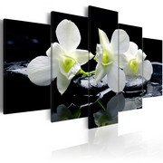 Obraz - Melancholijne orchidee Artgeist
