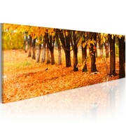 Obraz - Park covered with golden leaves Artgeist