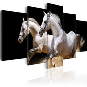Obraz - Galop - wolność i moc Artgeist