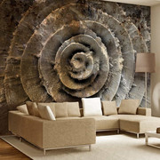 Fototapeta - Róża pustyni Artgeist