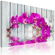 Obraz - harmonia: orchidea Artgeist