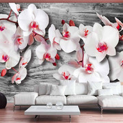Fototapeta - Oziębłe orchidee Artgeist