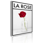 Obraz - La rose Artgeist