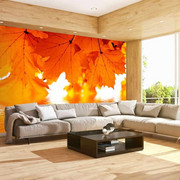 Fototapeta - liście - jesień Artgeist