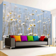 Fototapeta - Stokrotki Artgeist