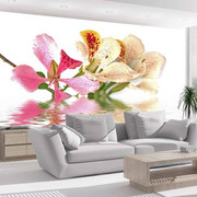 Fototapeta - Kwiaty tropikalne - drzewo storczykowe (bauhinia) Artgeist