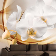Fototapeta - Kwiat orchidei Artgeist