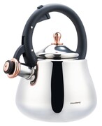 Czajnik stalowy na gaz 2.8L indukcja tradycyjny srebrny błyszczący KLAUSBERG KB-7776