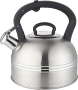 Czajnik na gaz indukcję metalowy z gwizdkiem 2.8L srebrny BLUBERG BBG-2831