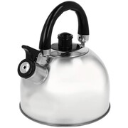 Czajnik stalowy z gwizdkiem na gaz indukcję 2L srebrny połysk BRUNBESTE BB-2401-B