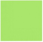 Papierowe serwetki zielone urodziny roczek 20 szt