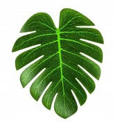 Liście liść monstery 21 x 18 cm sztuczny zestaw 5 szt ozdoba dekoracje