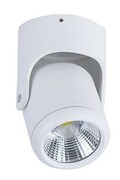 101W reflektor LED 25W NAŚWIETLACZ natynkowy 4000K