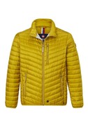 Duża Kurtka Męska Pikowana Cytrynowa WALKER-REDPOINT